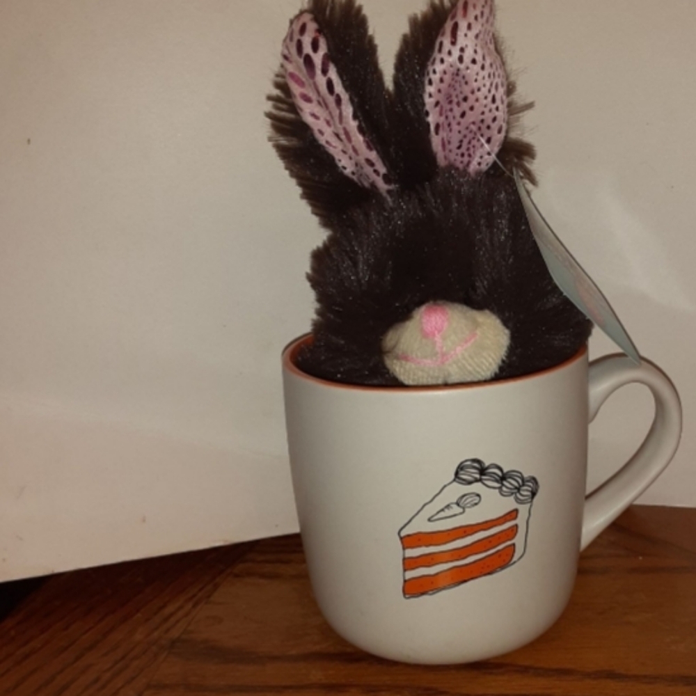 New Carrot cake mug and bunny stuffie.